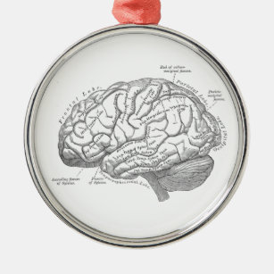 ヴィンテージの頭脳の解剖学 メタルオーナメント
