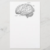 ヴィンテージの頭脳の解剖学 便箋 (正面)