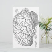 ヴィンテージの頭脳の解剖学 便箋 (スタンド正面)