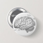 ヴィンテージの頭脳の解剖学 缶バッジ (正面&裏面)