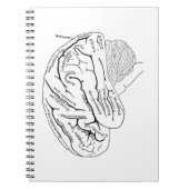 ヴィンテージの頭脳 ノートブック (正面)