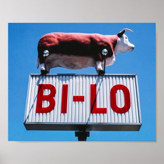 ヴィンテージの風景 ポスター (正面)