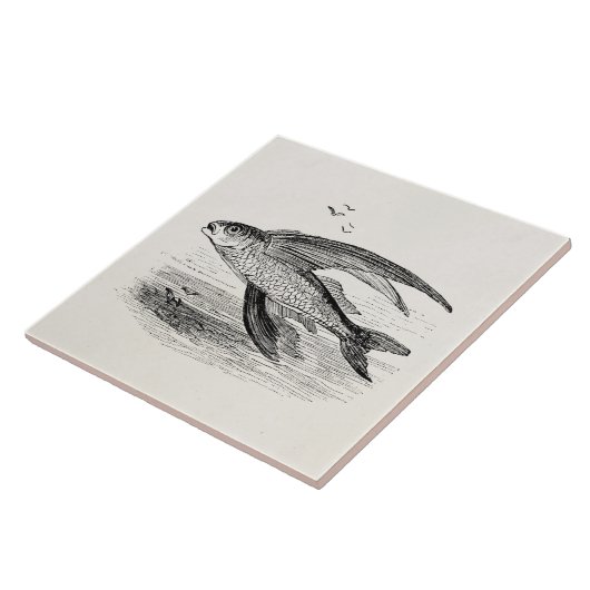 ヴィンテージの飛魚座の旧式でパーソナライズなテンプレート タイル (側面)