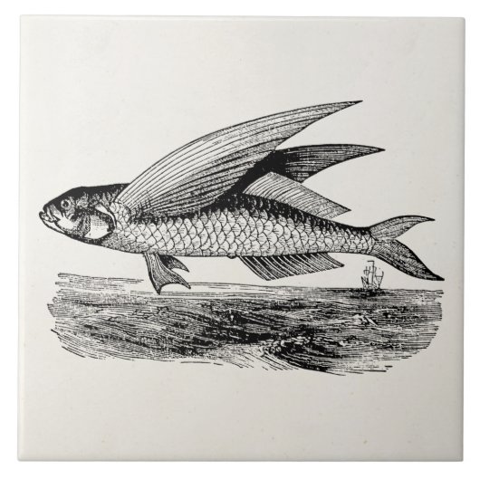 ヴィンテージの飛魚座-水中競技はテンプレートを採取します タイル (正面)