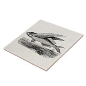 ヴィンテージの飛魚座-水中競技はテンプレートを採取します タイル (側面)