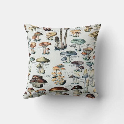 ヴィンテージの食用のきのこの図表 クッション (裏面)