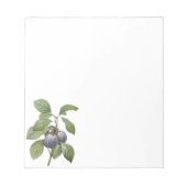 ヴィンテージの食糧フルーツ、Redoute著紫色の庭のプラム ノートパッド (正面)