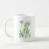 ヴィンテージの食虫植物のプリント コーヒーマグカップ (左)