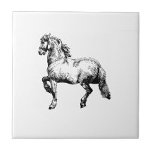 ヴィンテージの馬のタイル