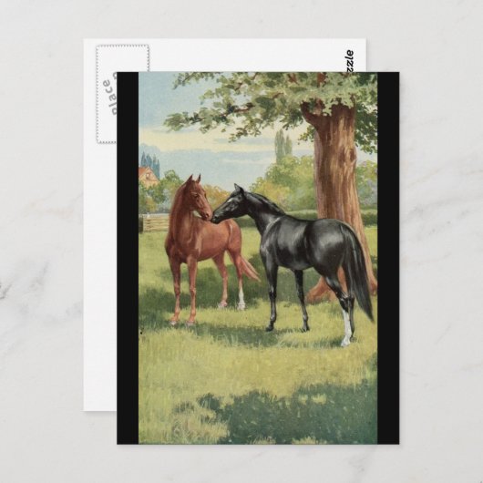 ヴィンテージの馬のロバの種馬の騎手 ポストカード (正面/裏面)