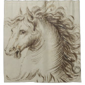 ヴィンテージの馬の写真v 1 シャワーカーテン (正面)