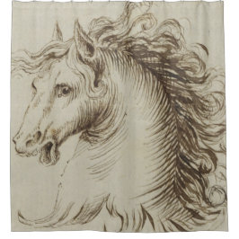 ヴィンテージの馬の写真v 1 シャワーカーテン