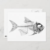 ヴィンテージの骨格エッチング ポストカード (正面/裏面)