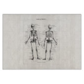 ヴィンテージの骨組人間の解剖学の骨はスカルの骨を抜きます カッティングボード (正面)