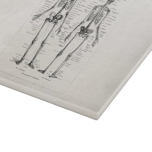 ヴィンテージの骨組人間の解剖学の骨はスカルの骨を抜きます カッティングボード (角)