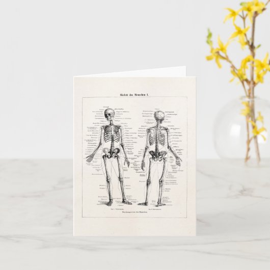 ヴィンテージの骨組人間の解剖学の骨はスカルの骨を抜きます カード (黄色い花)