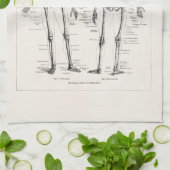 ヴィンテージの骨組人間の解剖学の骨はスカルの骨を抜きます キッチンタオル (折り畳み)