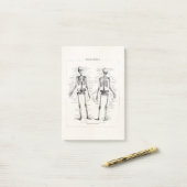 ヴィンテージの骨組人間の解剖学の骨はスカルの骨を抜きます ポストイット (デスク上)