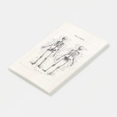 ヴィンテージの骨組人間の解剖学の骨はスカルの骨を抜きます ポストイット (アングル)