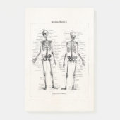 ヴィンテージの骨組人間の解剖学の骨はスカルの骨を抜きます ポストイット (正面)