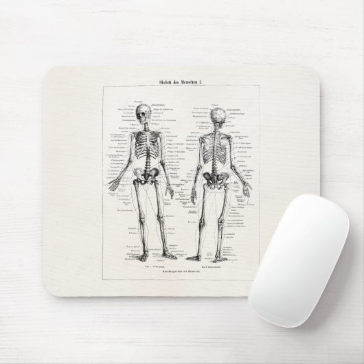 ヴィンテージの骨組人間の解剖学の骨はスカルの骨を抜きます マウスパッド (マウス)