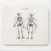 ヴィンテージの骨組人間の解剖学の骨はスカルの骨を抜きます マウスパッド (正面)