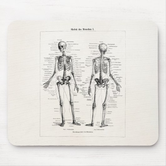 ヴィンテージの骨組人間の解剖学の骨はスカルの骨を抜きます マウスパッド (正面)