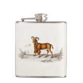 ヴィンテージの髭があるヤギのスケッチのレトロのひげのヤギ フラスク (正面)