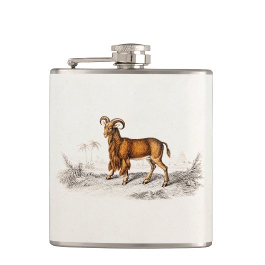 ヴィンテージの髭があるヤギのスケッチのレトロのひげのヤギ フラスク (正面)