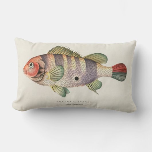 ヴィンテージの魚のイメージの枕 ランバークッション (正面)