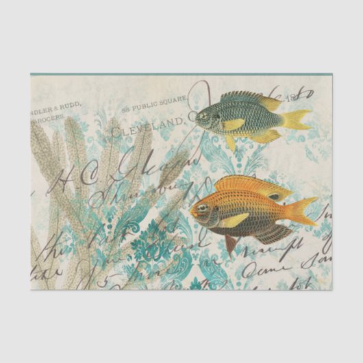 ヴィンテージの魚のエフェメラ 薄葉紙 (正面)