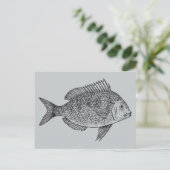 ヴィンテージの魚の海洋アートイラスト ポストカード