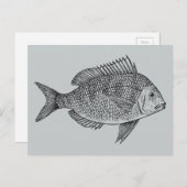 ヴィンテージの魚の海洋アートイラスト ポストカード