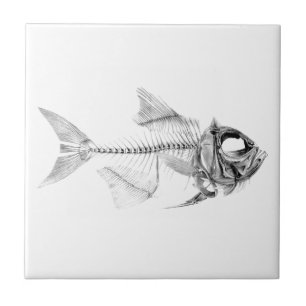 ヴィンテージの魚の骨組エッチング タイル