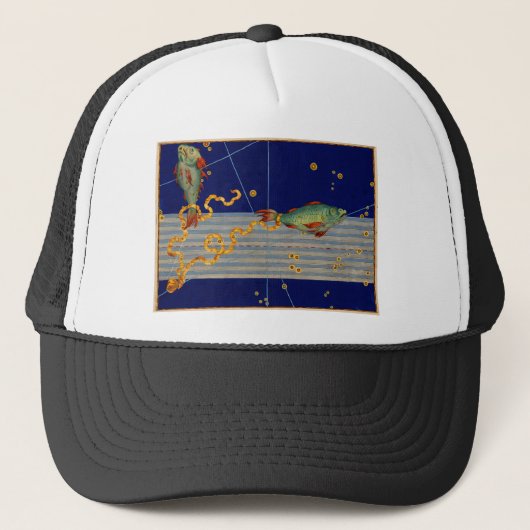 ヴィンテージの魚類の星図 キャップ (正面)