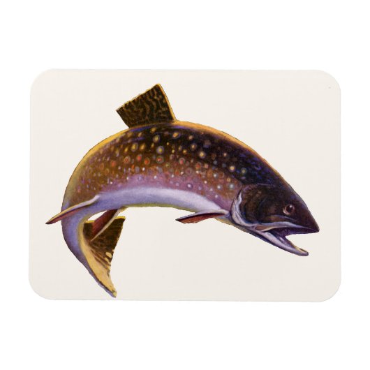 ヴィンテージの魚、スポーツフィッシングの漁師 マグネット (横)