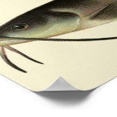 ヴィンテージの魚、海洋生物河川動物 ポスター (角)