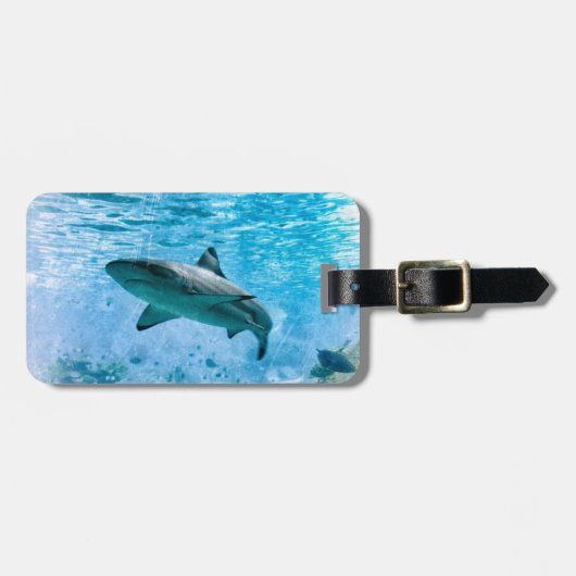 ヴィンテージの鮫の荷物のラベル ラゲッジタグ (正面横)