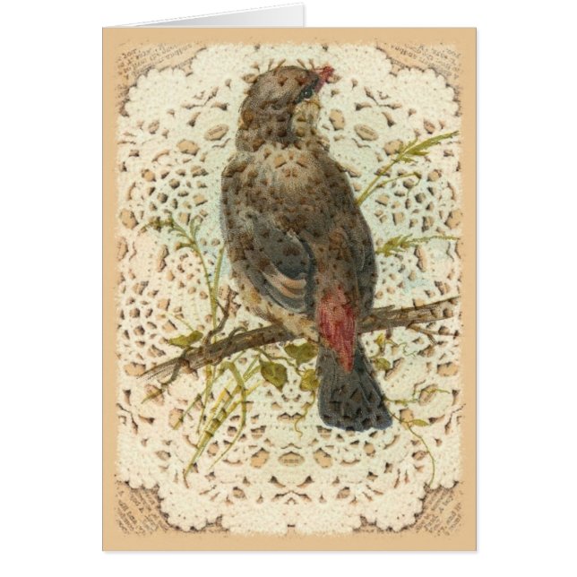 ヴィンテージの鳥およびDoilie (正面)