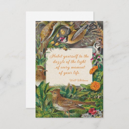 ヴィンテージの鳥とホイットマン（光の輝き） ノートカード (正面/裏面)