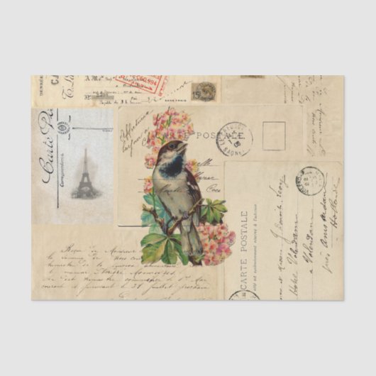 ヴィンテージの鳥によってはフランスのな郵便はがきのティッシュペーパーが開花します 薄葉紙 (正面)