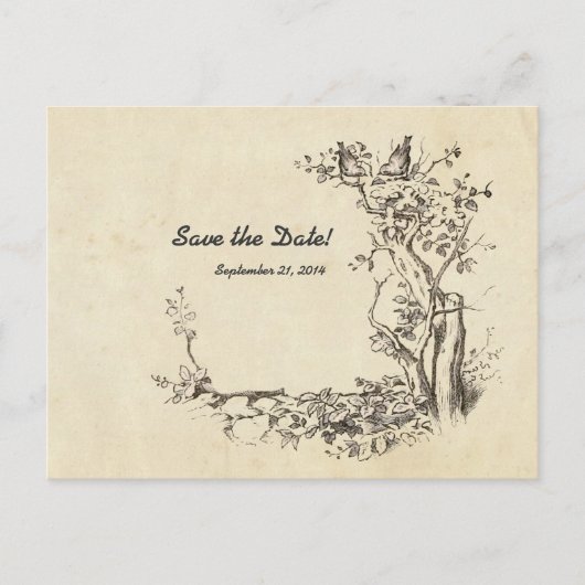 ヴィンテージの鳥のクリーム日付を保存 案内ポストカード (正面)