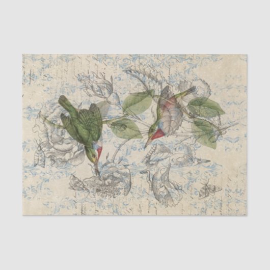 ヴィンテージの鳥のコラージュのティッシュペーパー 薄葉紙 (正面)