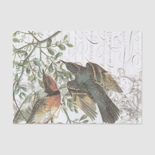 ヴィンテージの鳥のコラージュのティッシュペーパーNo.508 薄葉紙 (正面)