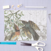 ヴィンテージの鳥のコラージュのティッシュペーパーNo.508 薄葉紙 (クラフト)