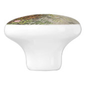 ヴィンテージの鳥の巣の卵のスクリプトEphemera セラミックノブ (側面)