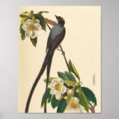 ヴィンテージの鳥 アオツバメの花のイラスト ポスター (正面)