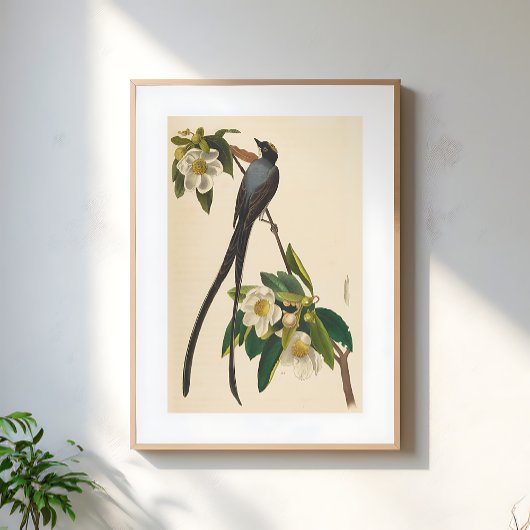 ヴィンテージの鳥 アオツバメの花のイラスト ポスター