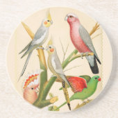 ヴィンテージの鳥 – インコ、熱帯鳥 コースター (正面)