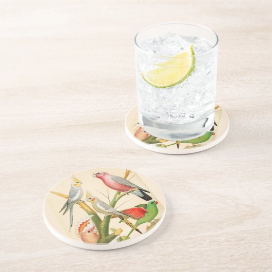 ヴィンテージの鳥 – インコ、熱帯鳥 コースター (側面)